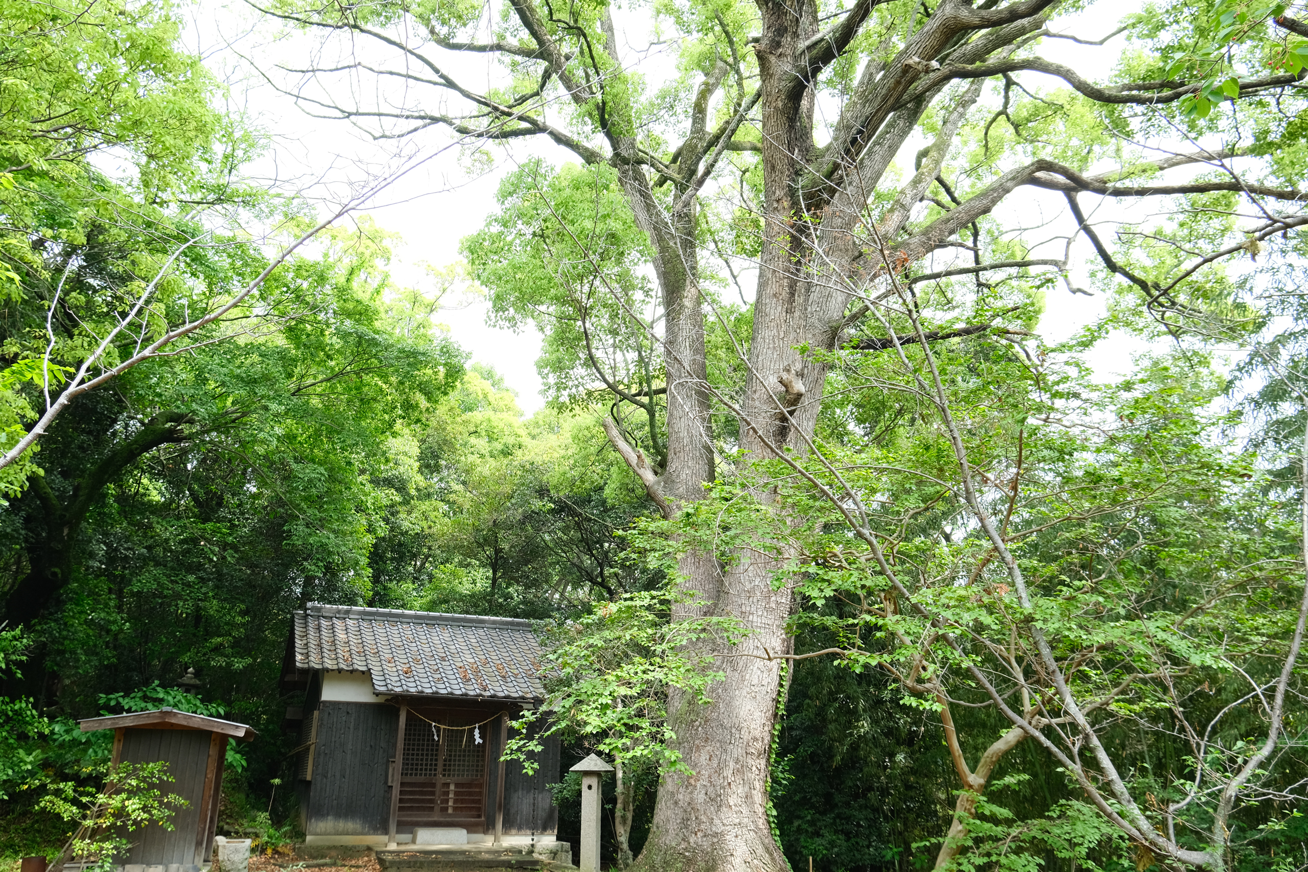 2025春②