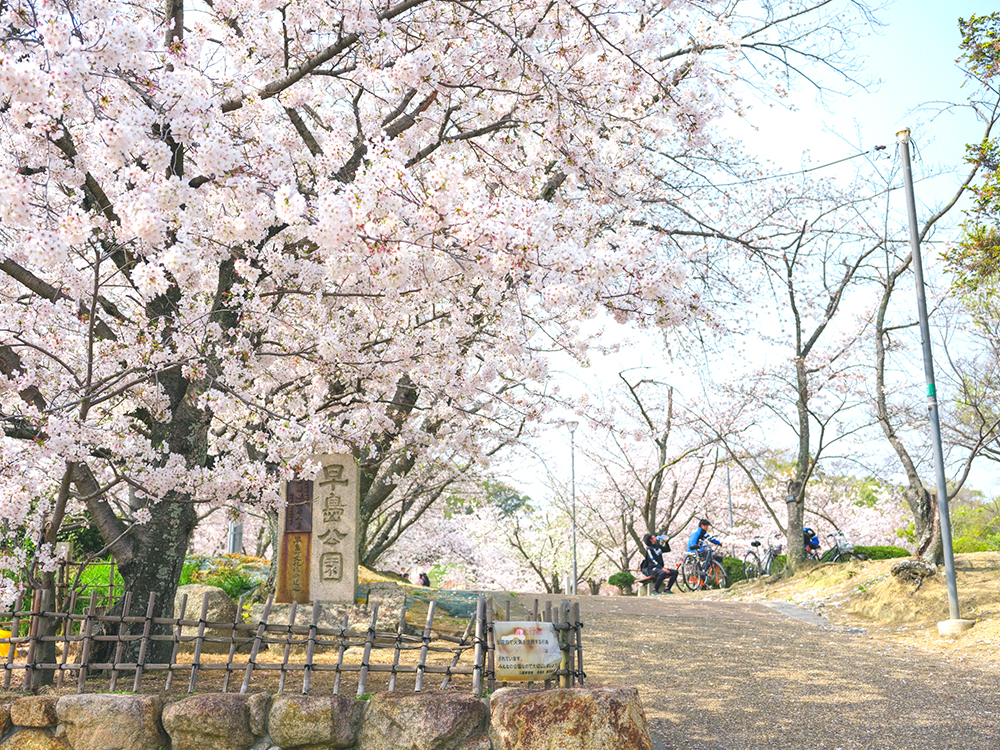 早島町の桜が見頃ですね 春を感じるお散歩へ Alkare早島オフィシャルサイト